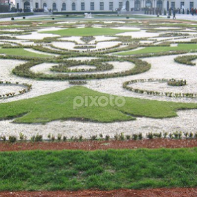 Belvedere gardens, Viena, Austria by Lilly Revheim - Nature Up Close Gardens & Produce