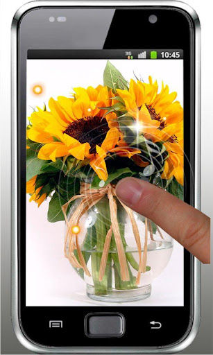 【免費個人化App】Sunflower Amazing HQ LWP-APP點子