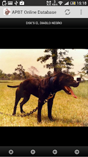 APBT Online Database Screenshots 7