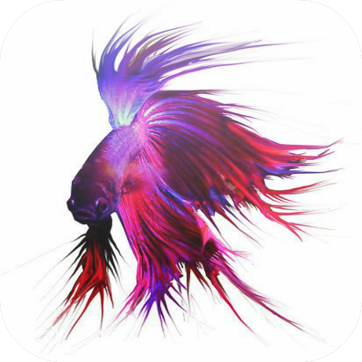 SIAMESE FIGHTING FISH 個人化 App LOGO-APP開箱王