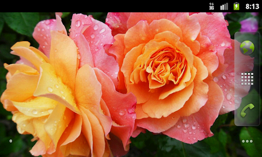 Free Spring Flowers Wallpaper APK