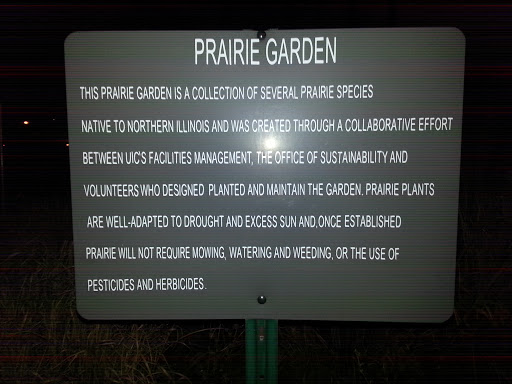 Prairie Garden