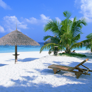 Summer Live Wallpaper 1.0