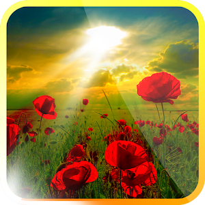 Sunrise Live Wallpaper.apk 1.0