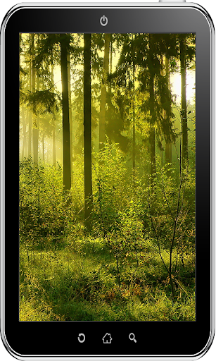 免費下載個人化APP|Forest Wallpaper HD app開箱文|APP開箱王
