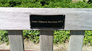 Janet Kirschen Memorial Bench