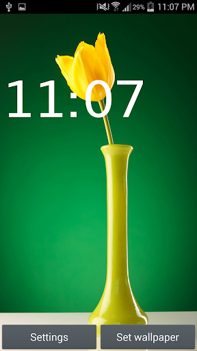 Tulip Wallpapers