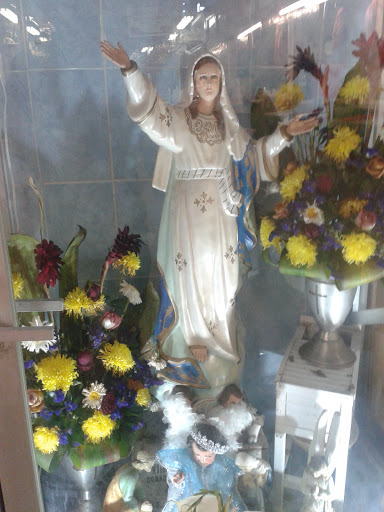 Virgen De La Asuncion