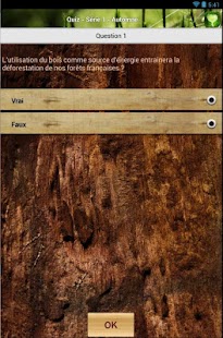 Bois Forêt Screenshots 9