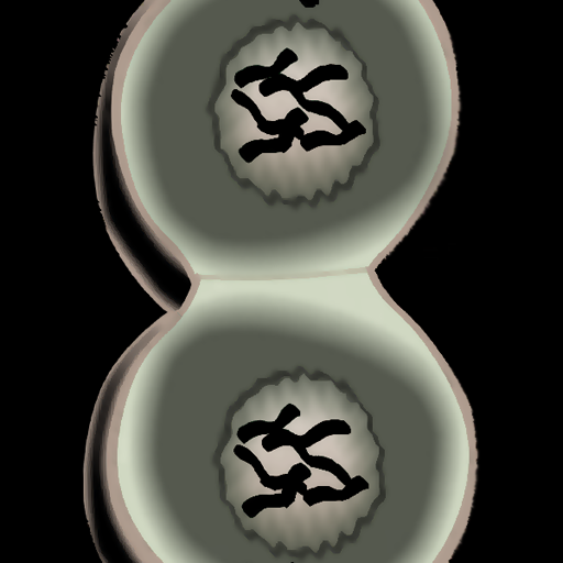 Grade 12 Biology Cell Division 教育 App LOGO-APP開箱王