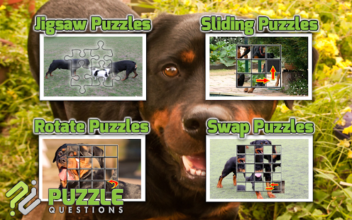 How to get Rottweiler Puzzle Games patch 3.1.5 apk for laptop