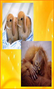 Lastest Cute Animals Jigsaw Puzzles APK