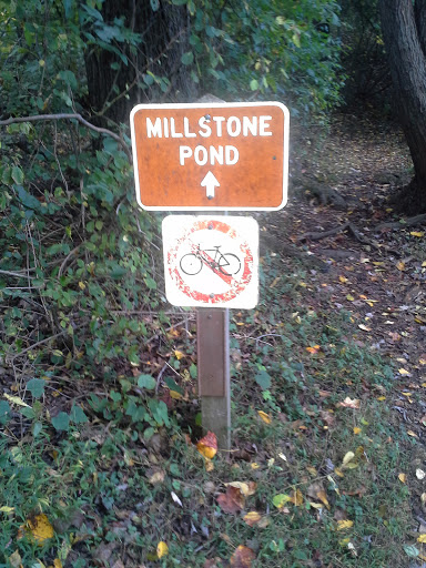 Millstone Pond