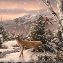 Winter Deer Live Wallpaper