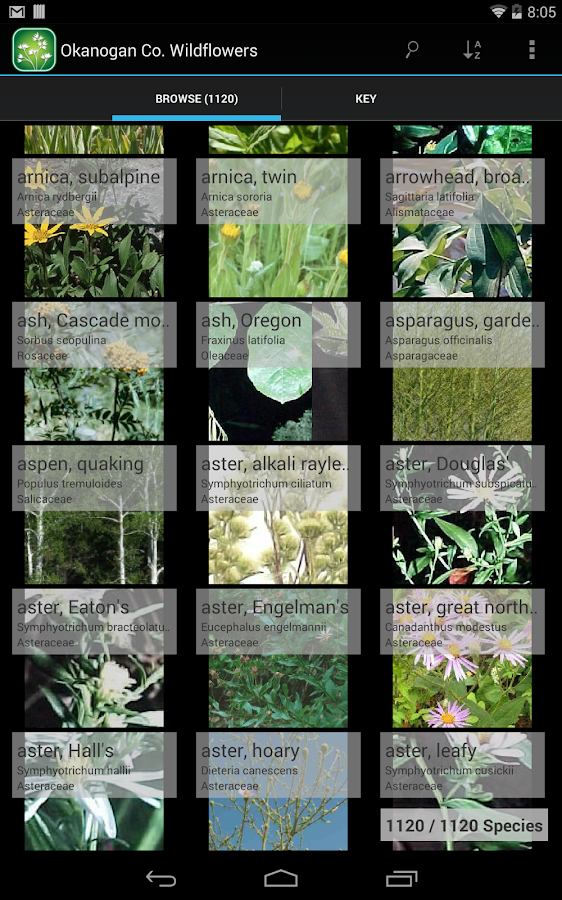1100 Manitoba Wildflowers Android Apps on Google Play