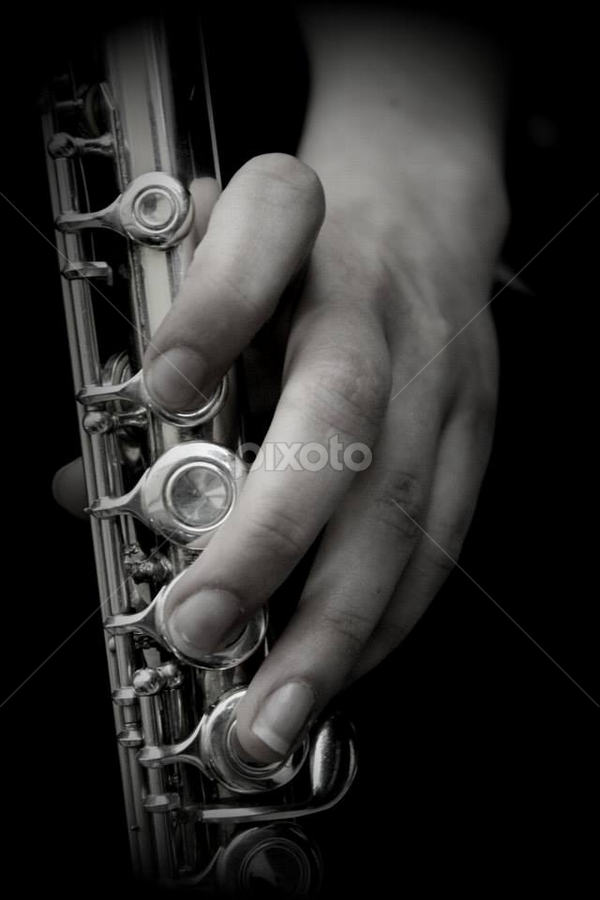 Flute Fingers by Christie Sassenrath - People Musicians & Entertainers