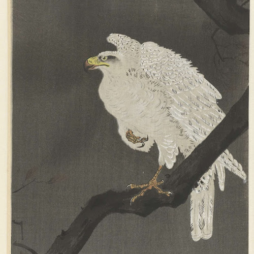 Sneeuwarend op een boomtak, Ohara Koson, 1910 - 1930 - Rijksmuseum