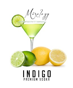 How to download Indigo Vodka 1.3 unlimited apk for android