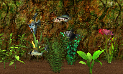 Fish Farm