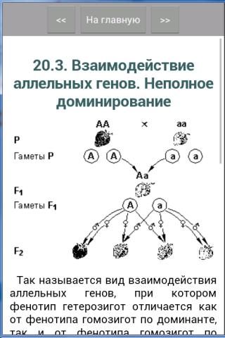 Терминологический Словарь По Биологии