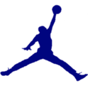 Air Jordan Retro 11 Theme logo