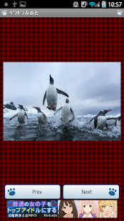 How to get ペンギンふぉと 1 unlimited apk for pc