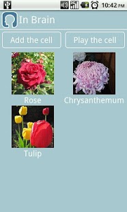 免費教育App|In Brain (Image memorization)|阿達玩APP