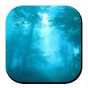 Forest 3D Live Wallpaper logo