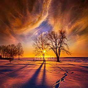 It's Time to Come Home by Phil Koch - Landscapes Prairies, Meadows & Fields