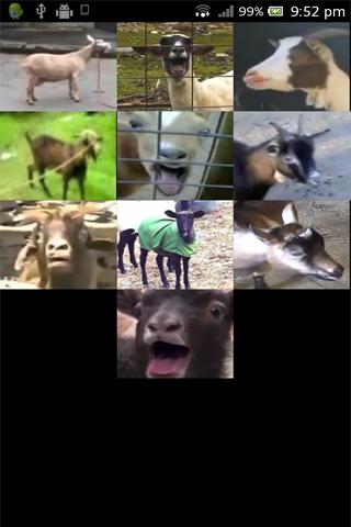 Screaming Goats SoundBoard