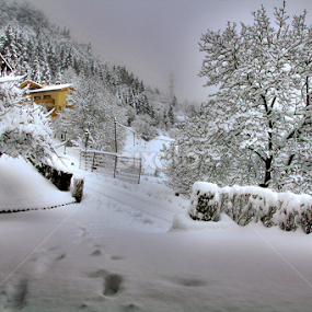 Breguzzo in the snow by Alberto Molinari - Landscapes Weather