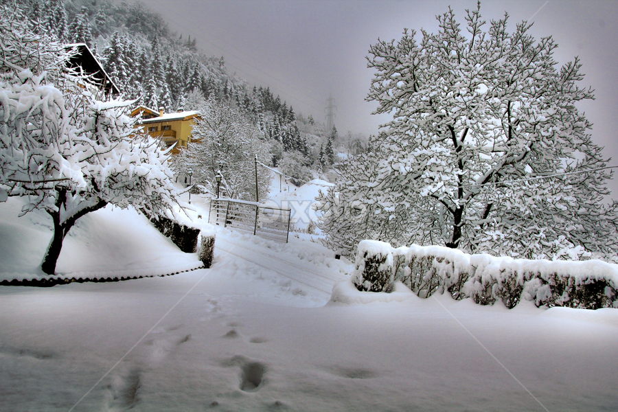 Breguzzo in the snow by Alberto Molinari - Landscapes Weather