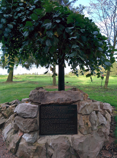 Arbre De La Paix