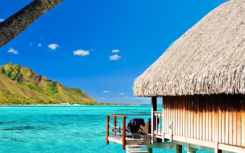 Free Download Work From Home Online APK