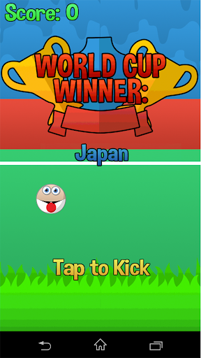 Flappy Cup Winner Japan