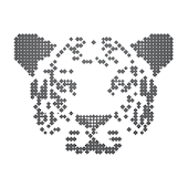 Tiger Algebra Solver