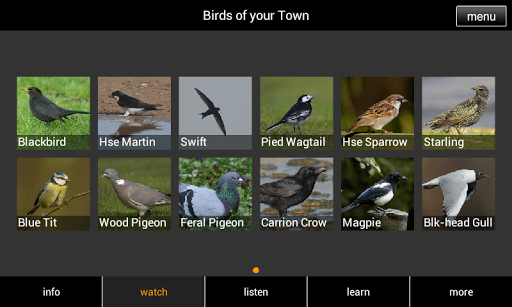 【免費書籍App】Birds of your Town-APP點子