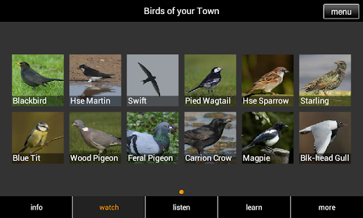 Birds of your Town Screenshots 8