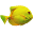Flappy Fish Download on Windows