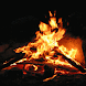 Winter Campfire Live Wallpaper
