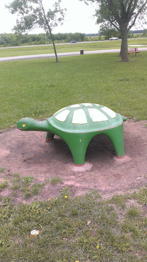 Broken Arrow Park Turtle 
