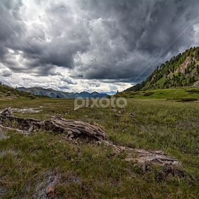 Old log by Luca Mondini - Landscapes Mountains & Hills