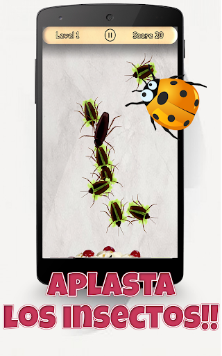 ¡Insectos