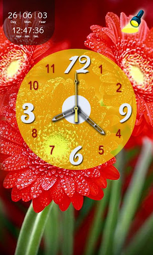 Flower Flashlight N Clock LWP