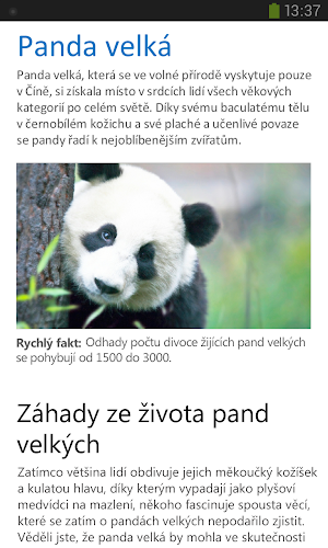 Obrázek