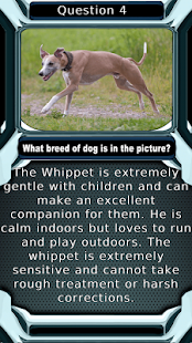 Dog Breed Animal Quiz Game Screenshots 14