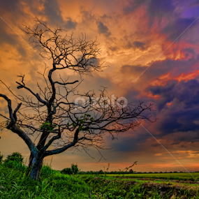 Last Light by KIN WAH WONG - Landscapes Sunsets & Sunrises
