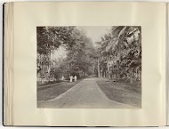 Europese en Indonesische mensen langs een laan in Nederlands-Indië