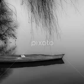Resting by Paulo Veiga - Black & White Landscapes