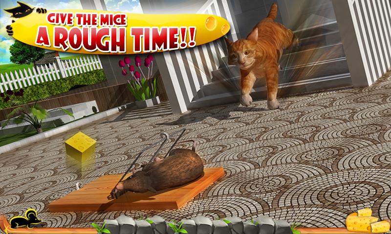 Crazy Cat vs. Mouse 3D Screen 3